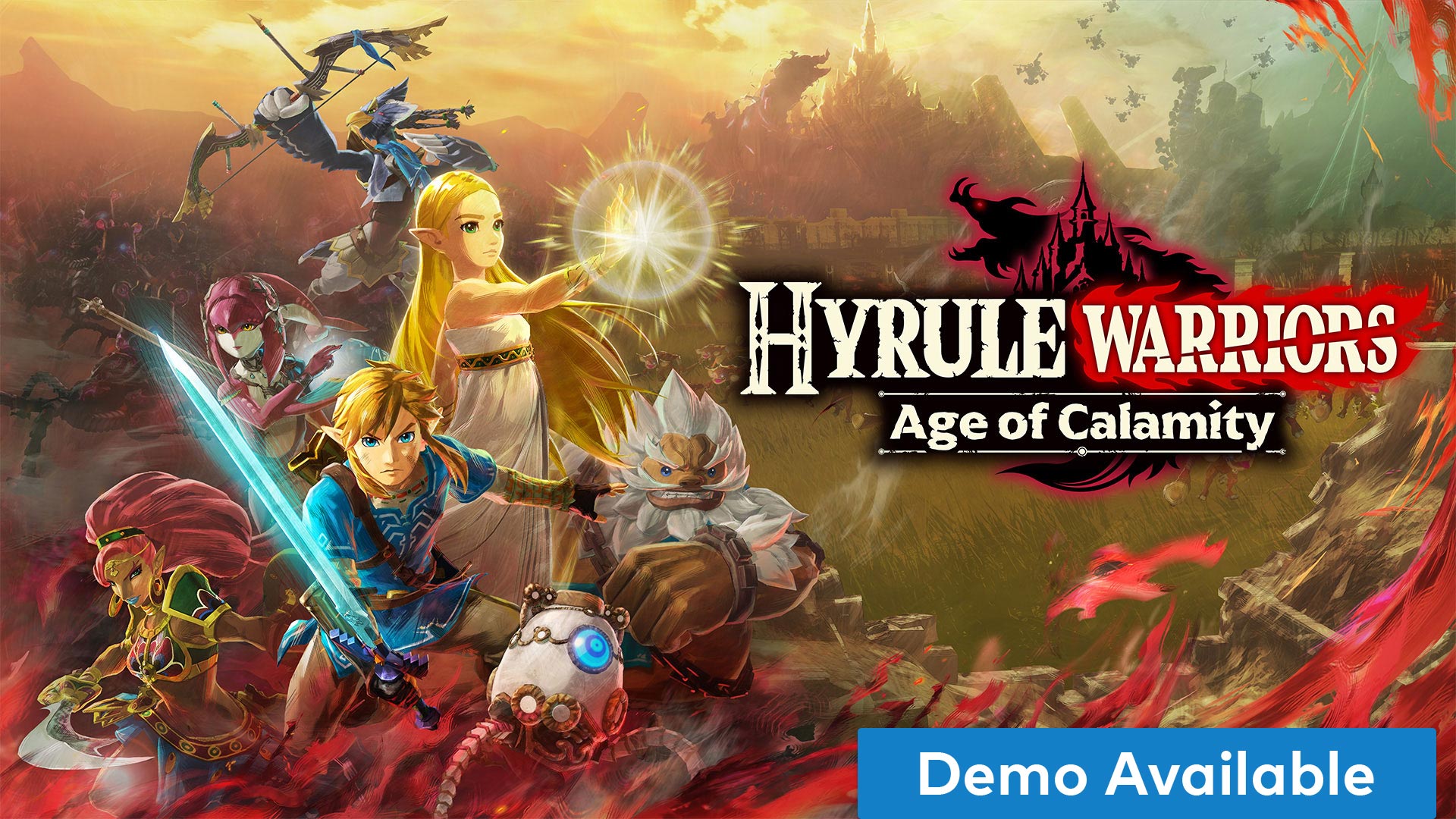 Cover Hyrule warriors
